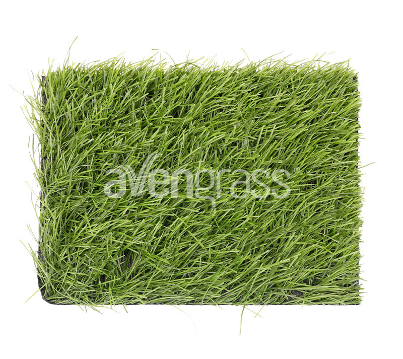 PowerGrass - 2 العشب الصناعي