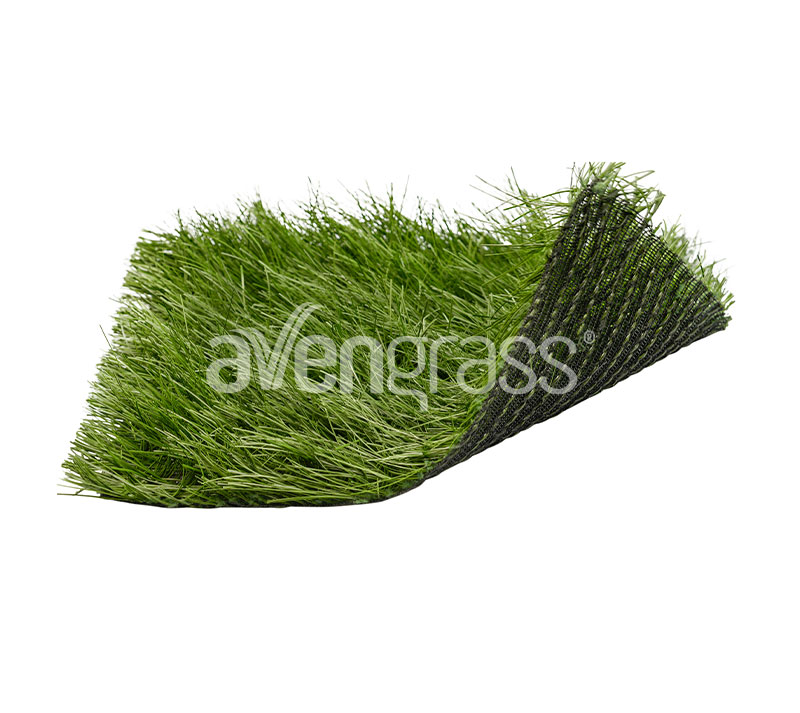 العشب الهجين - 1
