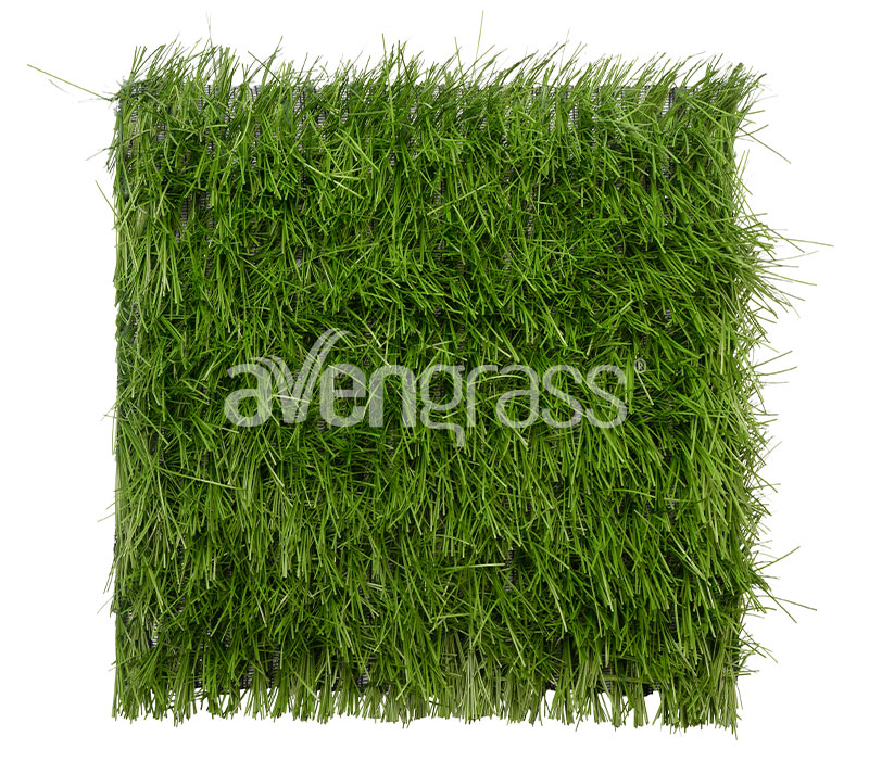 العشب الهجين - 2