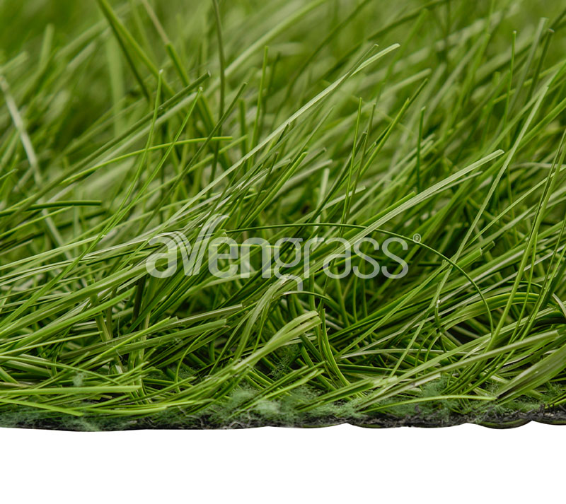 العشب الهجين - 3